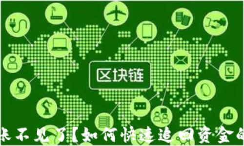 
TP钱包转账不见了？如何快速追回资金的全面指南