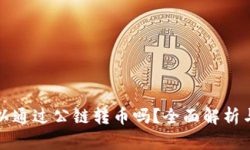 TP钱包可以通过公链转币吗？全面解析与实用指南