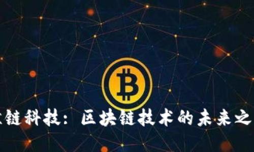 鲸链科技: 区块链技术的未来之路