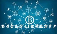 区块链中比特黄金是什么