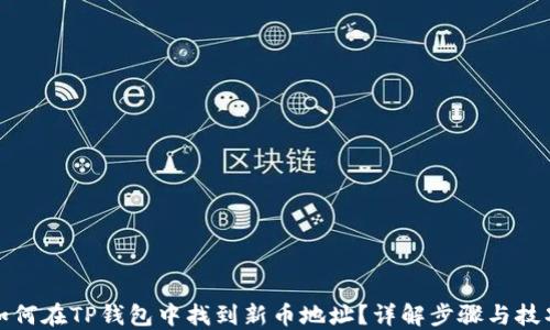 
如何在TP钱包中找到新币地址？详解步骤与技巧