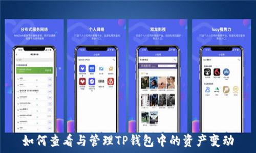   
如何查看与管理TP钱包中的资产变动