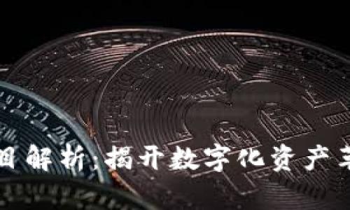 区块链项目解析：揭开数字化资产革命的面纱