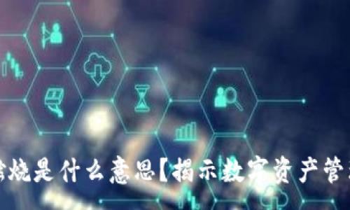 :
TP钱包燃烧是什么意思？揭示数字资产管理新趋势